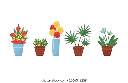 Various Flowers Growing in Pots Vector Set