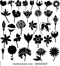 Various flowers set
