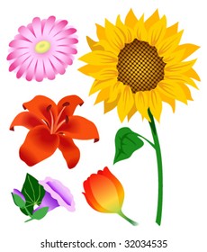 Various flowers. Vector illustration