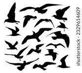various flying seagull silhouette collection