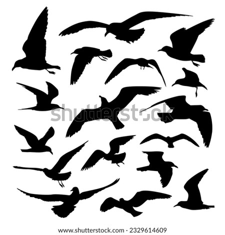 various flying seagull silhouette collection