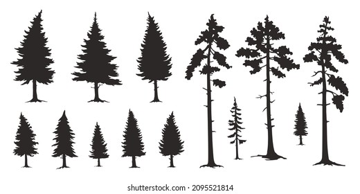 various forest tree silhouettes on the white background