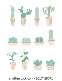 Various forms of cactus