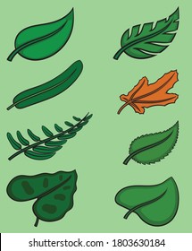 Various forms of leaves in vector