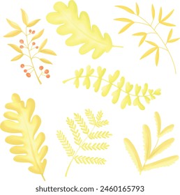 Various forms of leaves, yellow