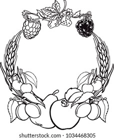 Various fresh berry round frame, hand drawn background with plum, raspberry, strawberry, cherry and blackberry. Vector illustration.