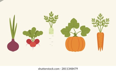 Various fresh garden root vegetables including onion, radish, turnip, pumpkin, and carrot lined up in a row on a clean background.