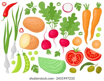 Various fresh vegetables and plants. Garden. Harvest. Potato, carrot, radish, cabbage, tomato, peas, olives, green onion, chilli pepper. 