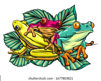 Various Frogs Cartoon Vector Illustration design art