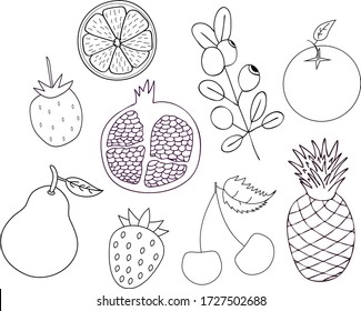 Various fruit and berries on a white background. Set. Hand drawing.  Isolated objects.  For card,  site,  poster,  design. 