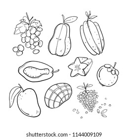 various fruit hand drawn