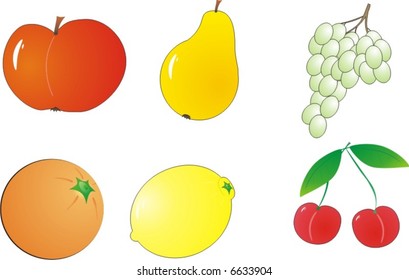 various fruit icons on white (vector illustration)
