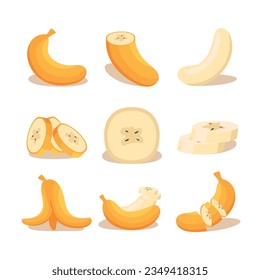 various fruit set flat banana exotic natural dessert cartoon isolated