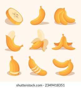 various fruit set flat banana exotic natural dessert cartoon isolated
