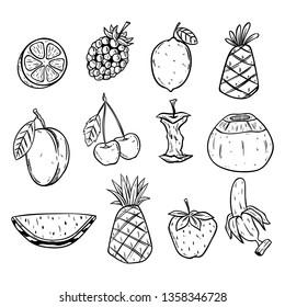 Various fruit sketch or doodle style