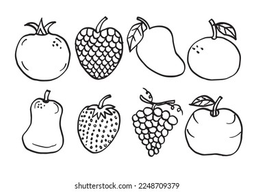 Various fruit sketch on white background.vector illustration.