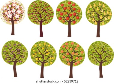 Various fruit trees (in blossom, with fruits, without fruits). Vector illustration.