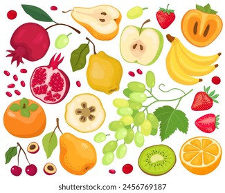 Various fruits on a white background. Cartoon illustration. Pomegranate, pear, apple, grape, banana, persimmon, cherry, strawberries, quince, orange, kiwi.  Fruits and slices, summer illustration. 