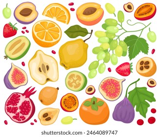 Varias frutas sobre un fondo blanco. Ilustración de dibujos animados. Granada, higos, uvas, naranja, feijoa, fresa, melocotón, níspero, tamarillo, membrillo, caqui. Frutas y rebanadas, ilustración de verano.