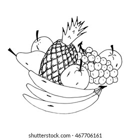 Various fruits and vegetables, vector hand drawn illustration
