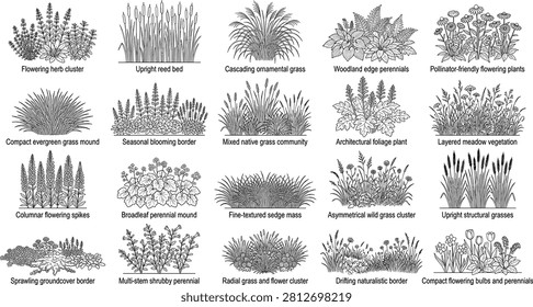 Various garden plants and grasses with descriptive labels flowering plants groundcover