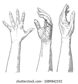Various gestures of human hands. Hand drawn female hands in different situations isolated on white background. Set of design elements. Vector.