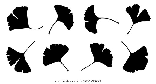 various ginkgo leaf silhouettes on the white background