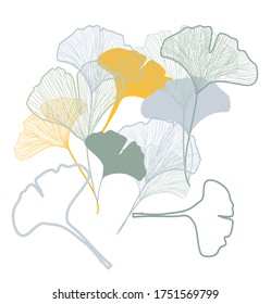 various ginkgo leaves vector design set nature leaf plant tree illustration