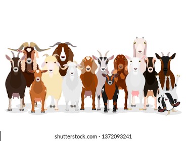 various goats group