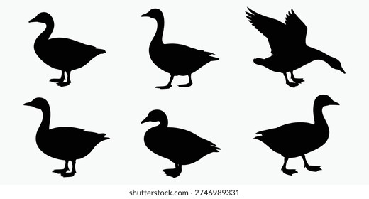 Various Goose Silhouettes Collection Standing Walking Flying Poses Isolated on White Background