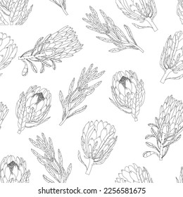 Various graphic Protea flowers. Abstract black flowers with leaves and branch. Hand drawn Vector illustration. Design decoration, print, wallpaper template. Square seamless Pattern