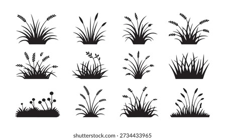 Various grass shapes, wheat ears, reeds and small bushes in black and white vector format.