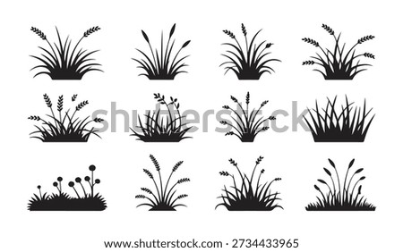 Various grass shapes, wheat ears, reeds and small bushes in black and white vector format.