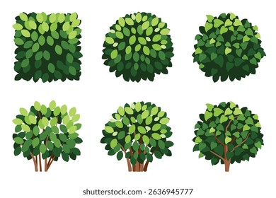 Various Green Bushes and Shrubs Vector