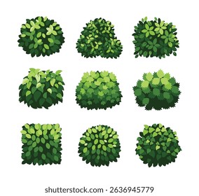 Various Green Bushes and Shrubs Vector