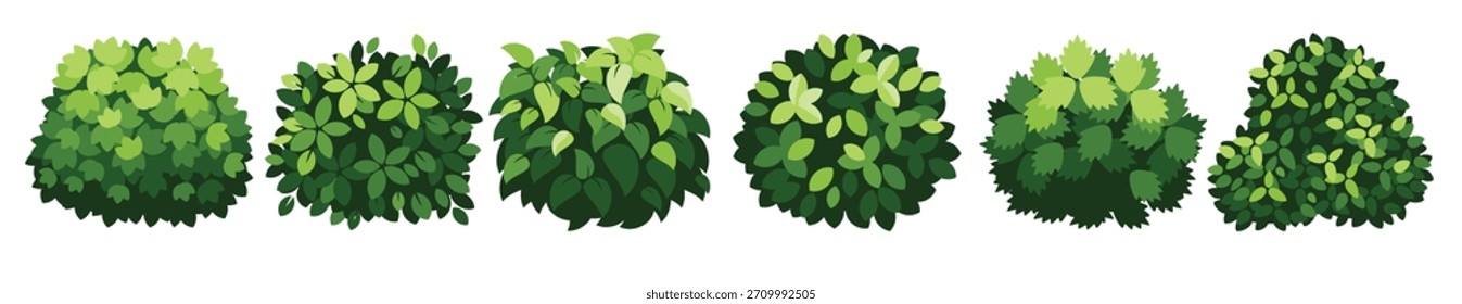 Varios arbustos verdes Ilustración vectorial