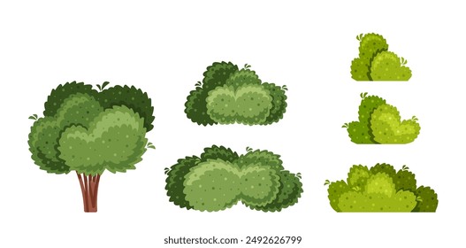 Various Green Cartoon Trees And Shrubs Isolated On A White Background. Vector Green Vegetation Illustrations