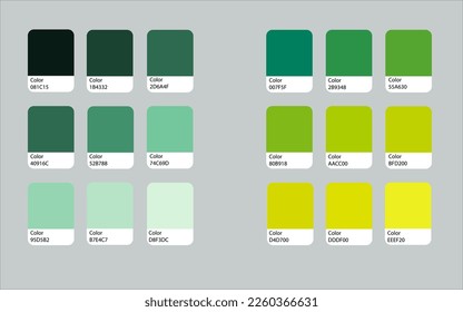 Various green color guide vector palette. Cool and warm selection. Samples with colour RGB HEX codes.