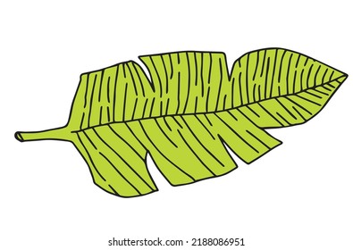 various green element on tropical or summer season