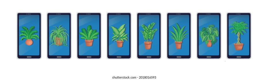 Various green house plants pictures photos on smartphone screen set online vector illustration.
