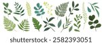 Various green leaves, different shapes, and sizes. Green leaves, botanical elements, nature. Leaves collection, diverse green foliage, plant leaves. Botanical illustrations vector set.