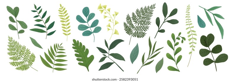 Various green leaves, different shapes, and sizes. Green leaves, botanical elements, nature. Leaves collection, diverse green foliage, plant leaves. Botanical illustrations vector set.