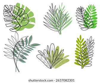 Various green and line-drawn leaves, isolated