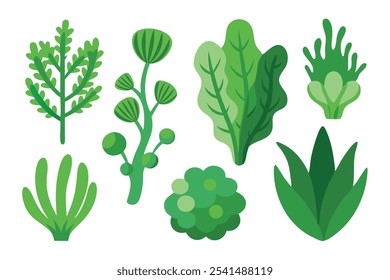 Varias plantas verdes dispuestas sobre un fondo blanco, destacando sus exuberantes hojas y su Ilustración vectorial plana de belleza natural