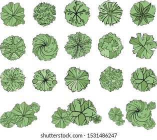 Various green trees, bushes and shrubs, top view for landscape design plan. Vector illustration, isolated on white background.