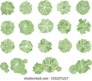 Various green trees, bushes and shrubs, top view for landscape design plan. Vector illustration, isolated on white background.