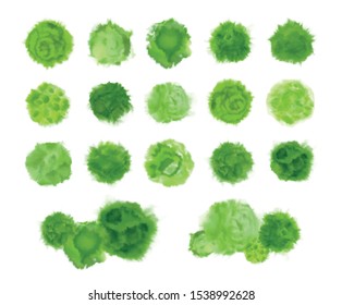 Various green trees, bushes and shrubs, top view for landscape design plan. Vector watercolor illustration, isolated on white background.