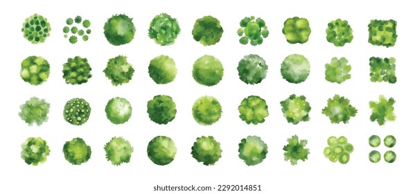 Diversos árboles verdes, arbustos y arbustos, vista superior para el diseño del paisaje. Ilustración de acuarela vectorial, aislada en fondo blanco.