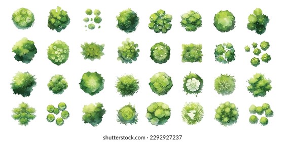 Various green trees, bushes and shrubs, top view for landscape design plan. Vector watercolor illustration, isolated on white background.