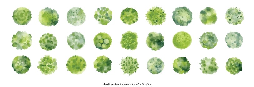 Various green trees, bushes and shrubs, top view for landscape design plan. Vector watercolor illustration, isolated on white background.